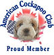 American Cockapoo Club Chesley Hill Cockapoos Cockapoo Breeder NH