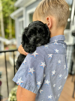 Adorable black with white markings F1 male Cockapoo puppy lovingly held by a young boy during the puppies final photo shoot at Chesley Hill Cockapoos, Massachusetts premier Cockapoo breeder with Cockapoo puppies for sale to families in NH, ME, VT, CT, RI, NY, NYC, NJ, PA, MD, Washington DC, all of New England and the East Coast.