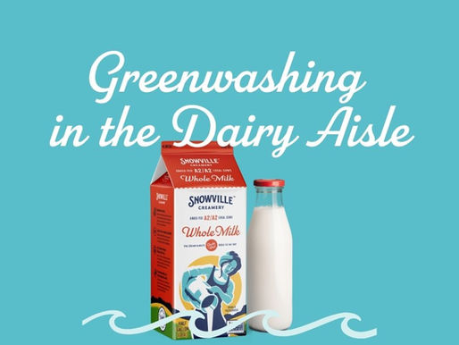 Milk carton and glass bottle on teal background with text Greenwashing in the Dairy Aisle and How to Know What’s Real
