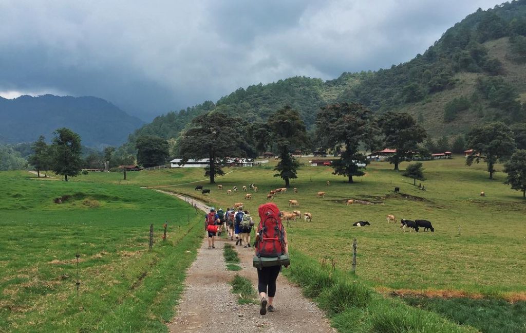 After leaving Nebaj, our four day trek began. Over the course of four days, we hiked further than we thought we could, got rained on plenty of times, crossed mountains, listened to a lot of rap music, and hung out with puppies at a cheese farm. Thank you again to all the amazing families who let us into their homes, gave us a place to stay, and shared their stories with us. 