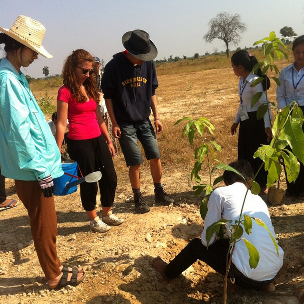 Growing trees at Ockenden 2015
