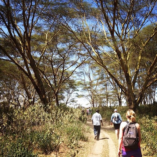 Roaming around in the bush.