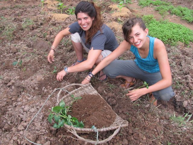 Permaculture in Cambodia