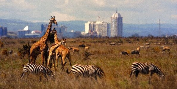 Nairobi National Park