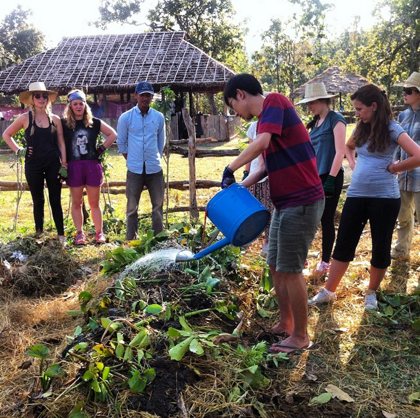 2015 Growing trees at Ockenden