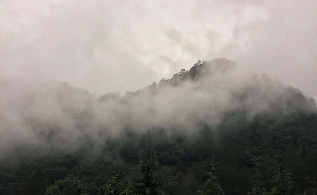 In addition to having an incredibly captivating story, Guatemala is one of the most beautiful and geographically diverse places I've ever seen. In just a few short miles it would look like we had gone from the tropics, to the Swiss Alps, to the Pacific Northwest.