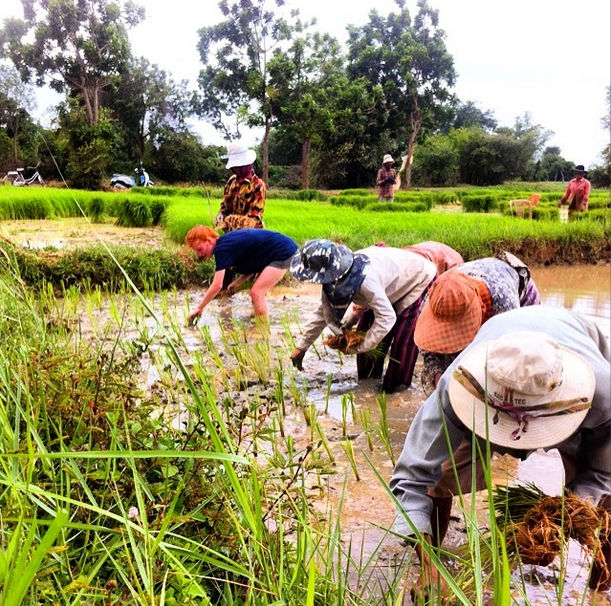 Farming with Samnang's family