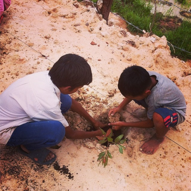 Planting trees