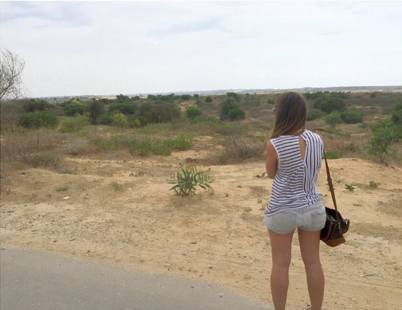Looking out at Gaza