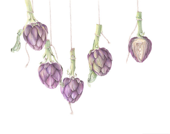 Purple Artichokes.jpg