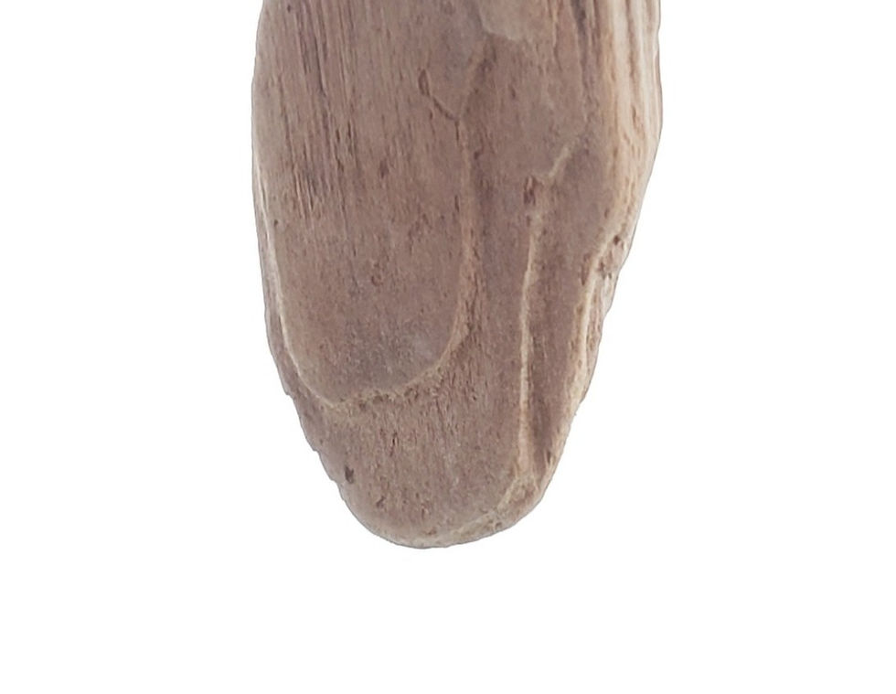 Thumbnail: suncatcher