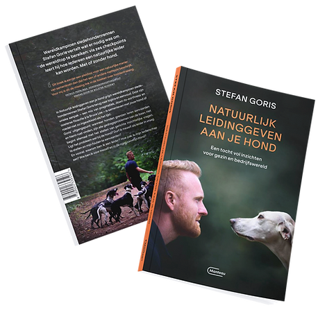 Boek cover 4_edited.png