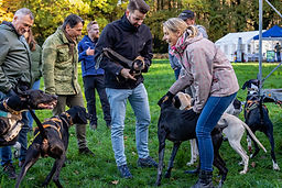 Roedel Managers - Avontuurlijke Teambuilding