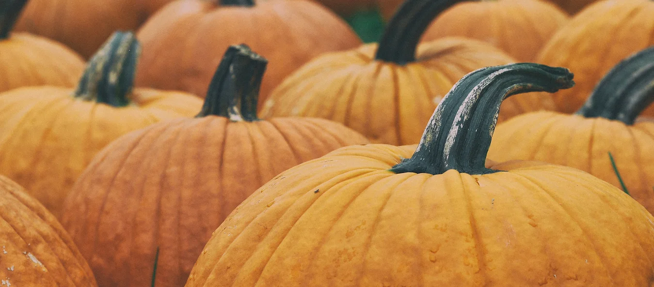 pumpkins.webp