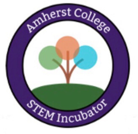 the Incubator Content Creator.