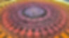 20260303_171046.jpg