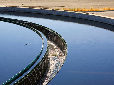 Retailers could burn goods stuck in EU