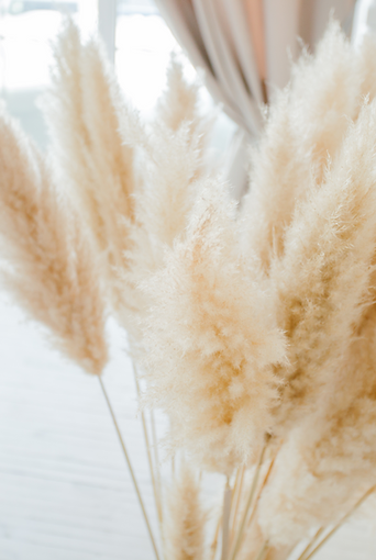 Design sans titre (19).png