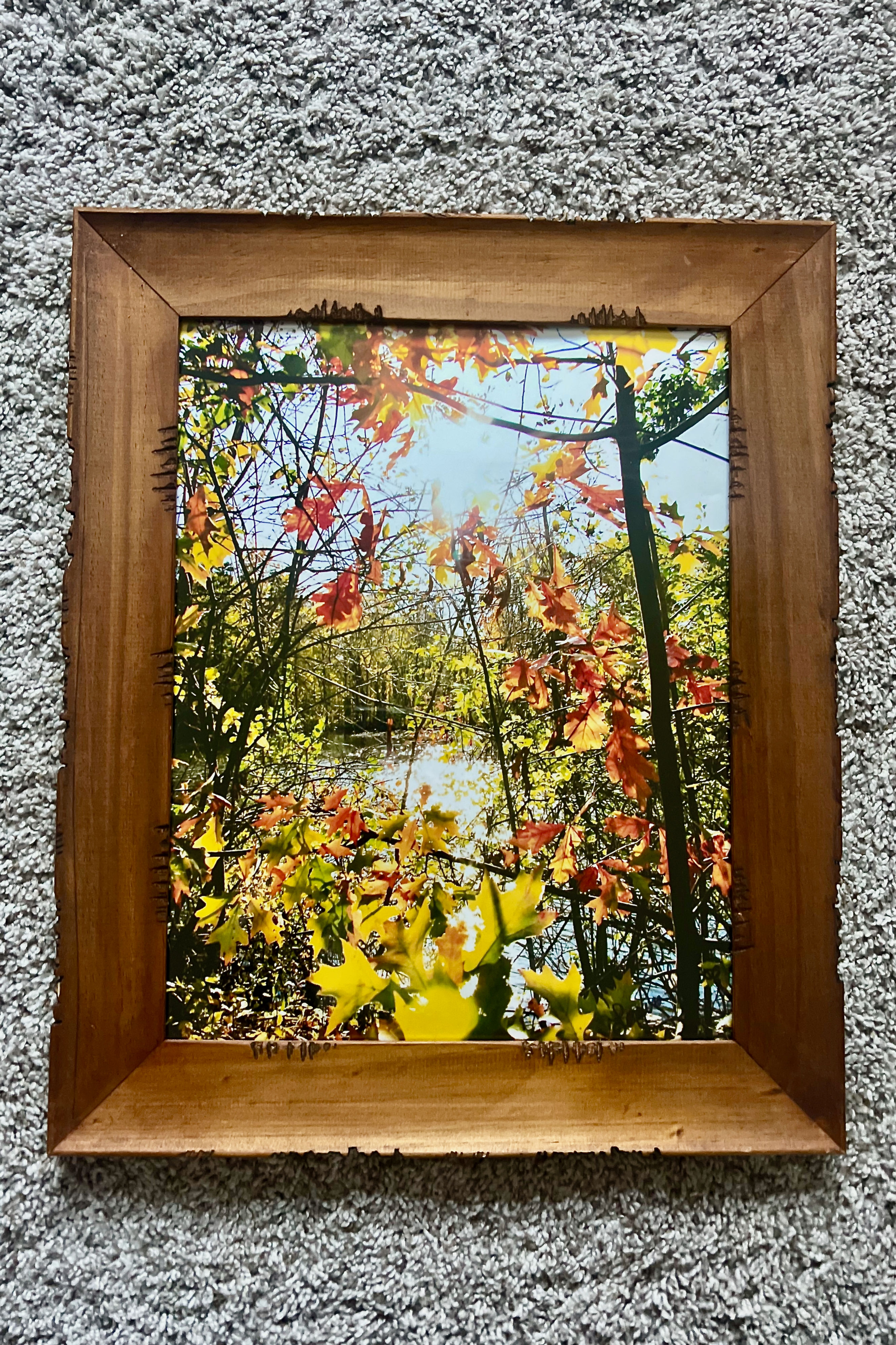 Michigan Fall Colors, Henry Ford Estate, Dearborn (11 x 14 Barn Wood Frame)