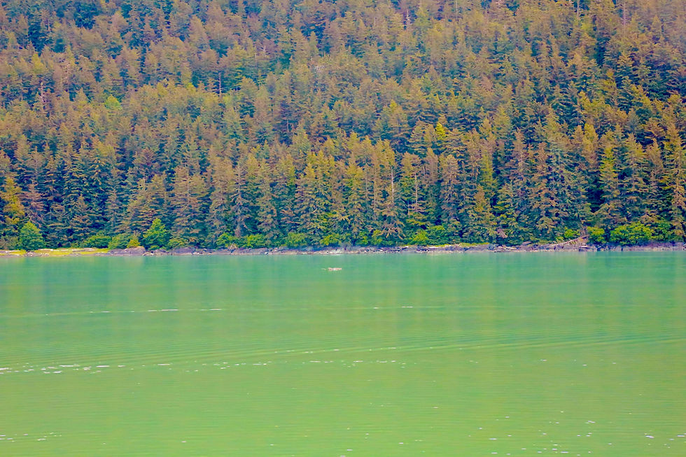 Sailing To Alaska