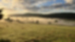 shropshire county house clearance