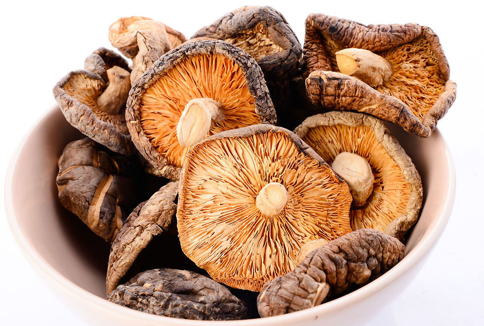 Champi�ones seco 1 kilo