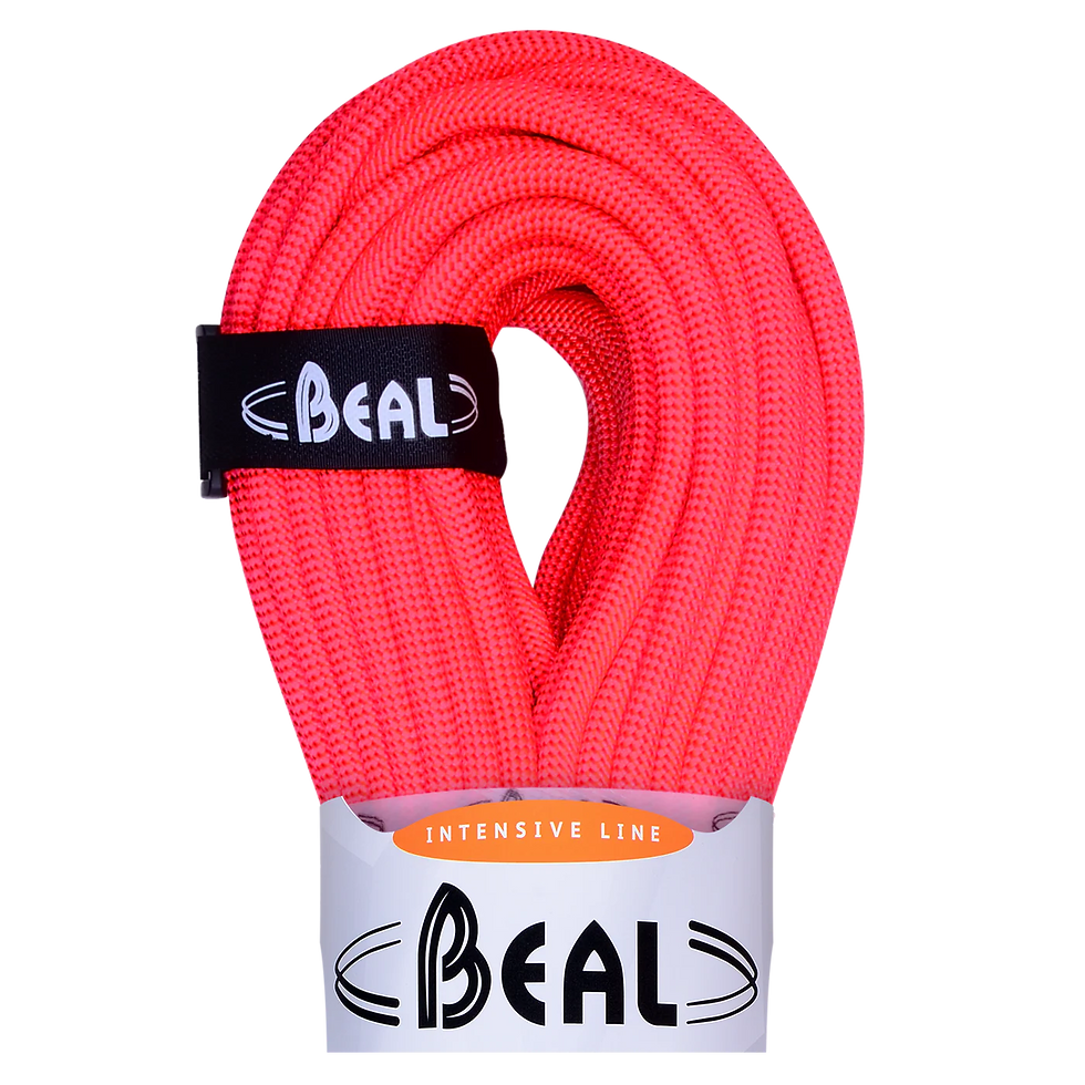 Miniature : Beal Joker 9,1 mm x 80 m - Unicore, Dry cover