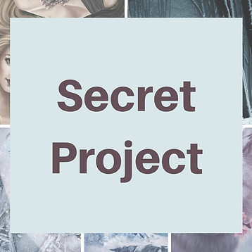 Secret Project (1).png