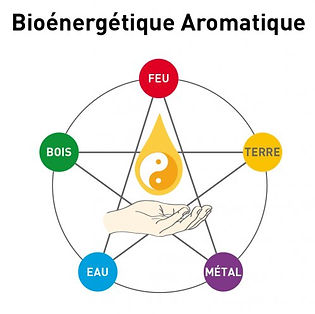 bioénergétique aromatique