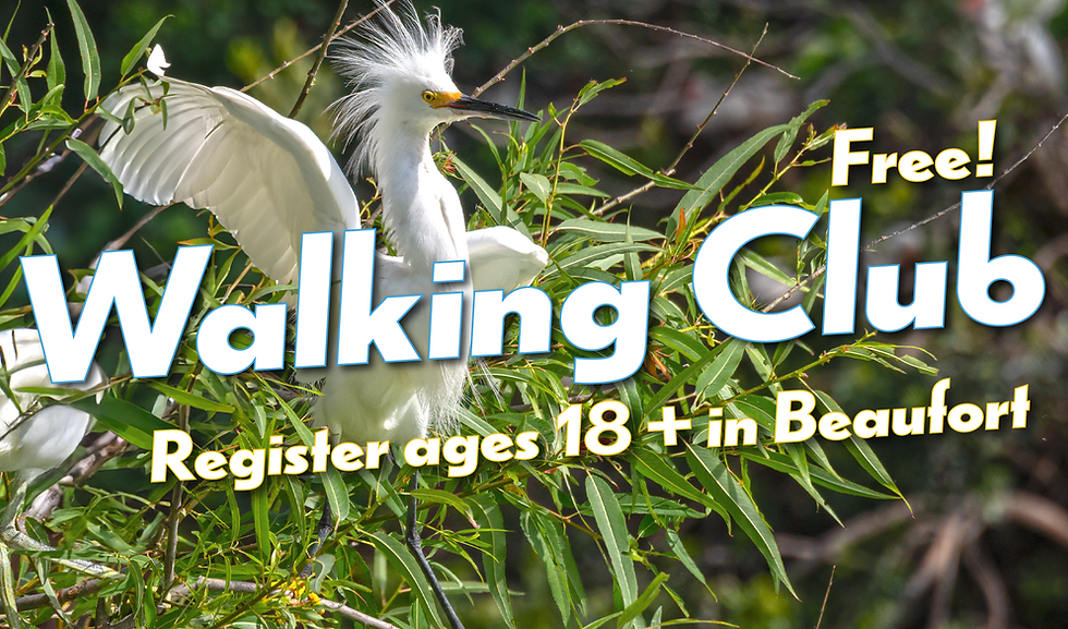 Screenly_WalkingClub081126.png