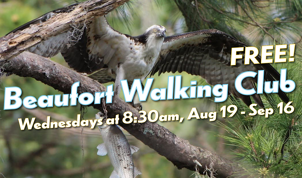 Screenly_WalkingClub071026.png