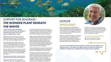 Project Seagrass in the Spotlight