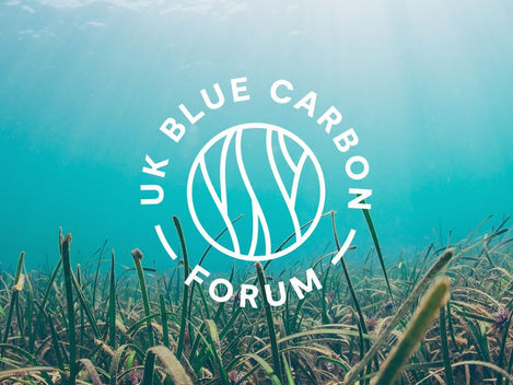 EVMT ProgRess Limited join UK Blue Carbon Forum group