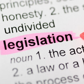 Bread and Flour Regs: An update