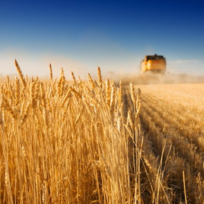 Harvest data now available