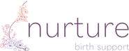 Nurture Birth Support Logo Color.png