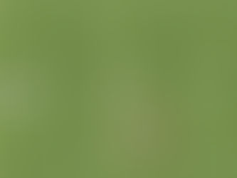 Opposition Scouting in 4 Pen & Paper Examples