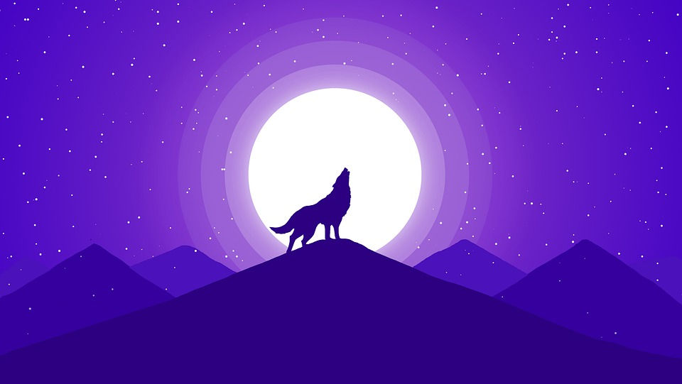 Saluto alla Luna