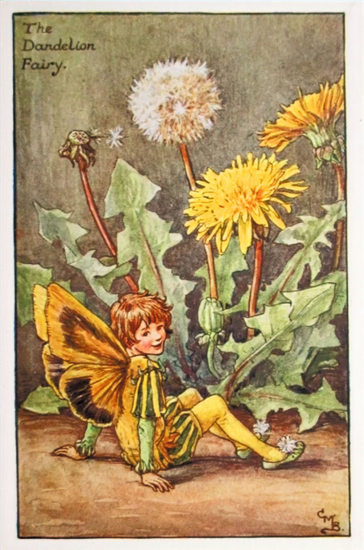 Fata Tarassco di C.M. Barker