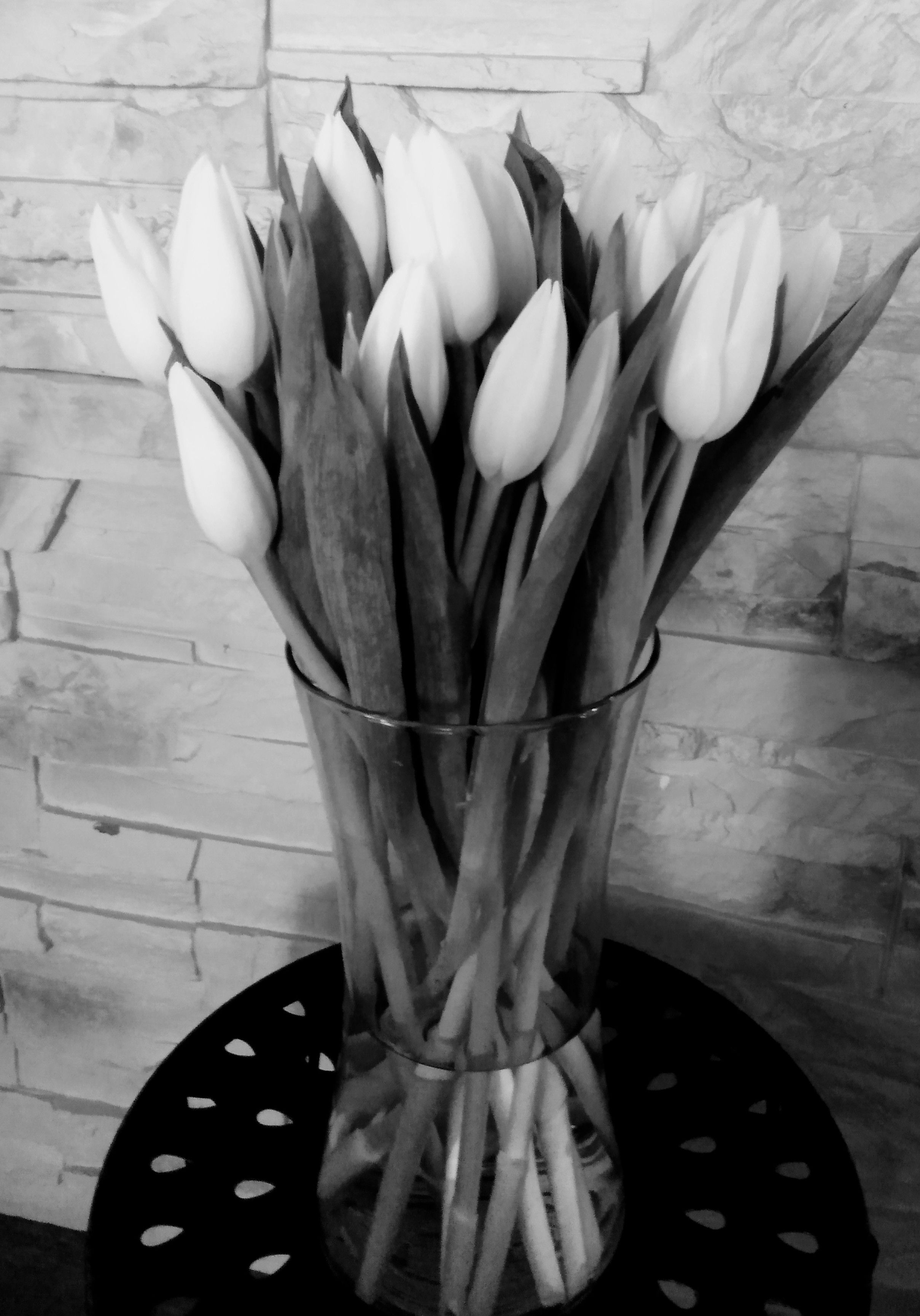Timeless Tulips
