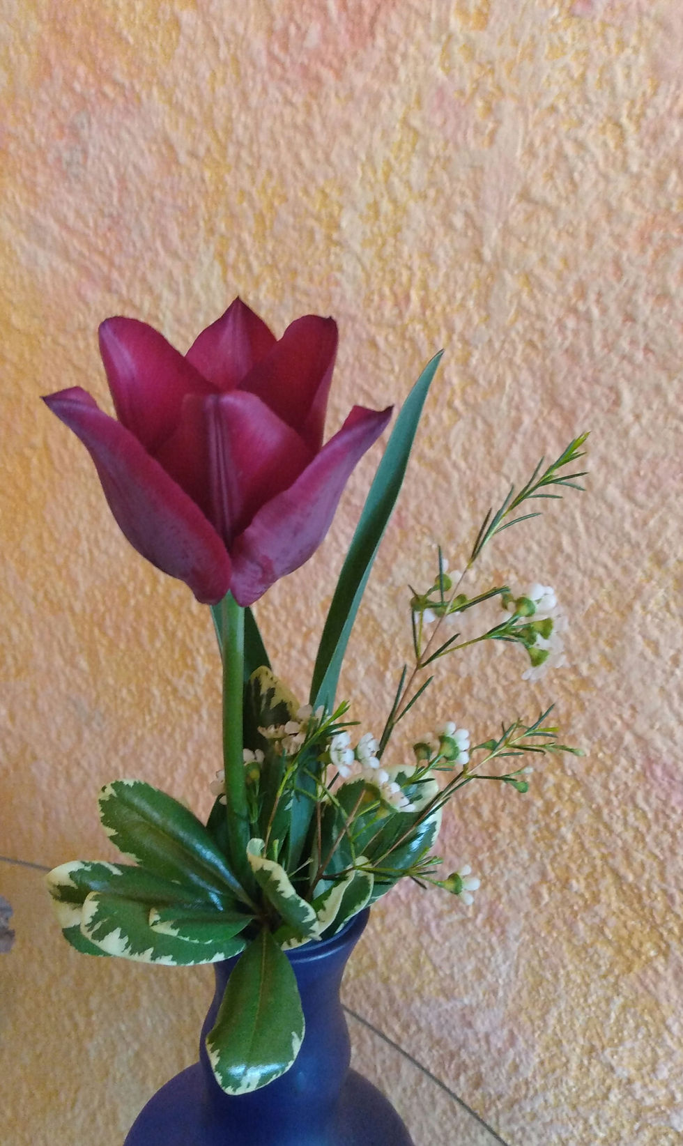 Thumbnail: Timeless Tulips