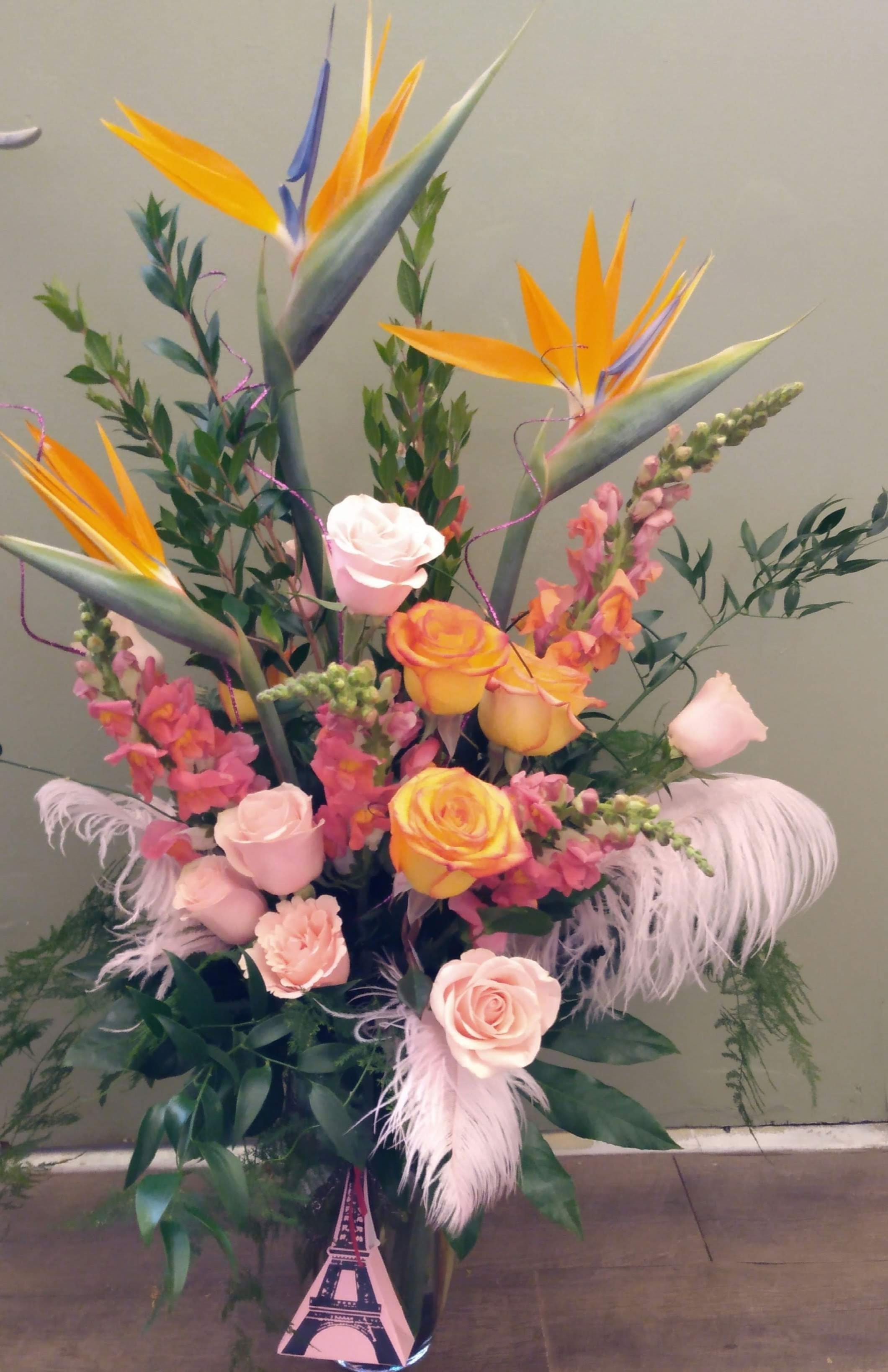 "Take me to the Tropics"