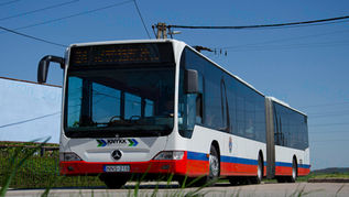 Székesfehérvár Citarói #2