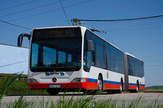 Székesfehérvár Citarói #2