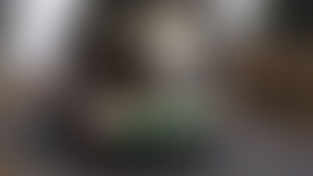 Ikarus 412.10A | BPI-050