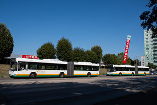 Dunaújváros helyi járat - 2023