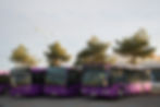 ars_3694.jpg