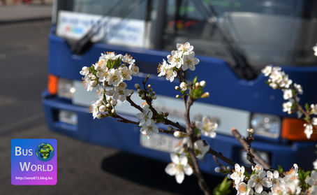 Ikarus 412-esek másodvirágzása a BKV-nál