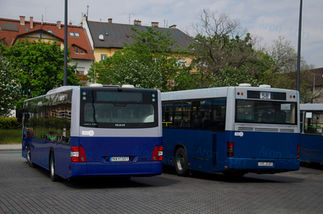 Alternatívák egyszínűségre