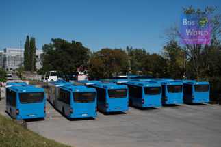 Autóbusz-értékesítés és vevőszolgálat